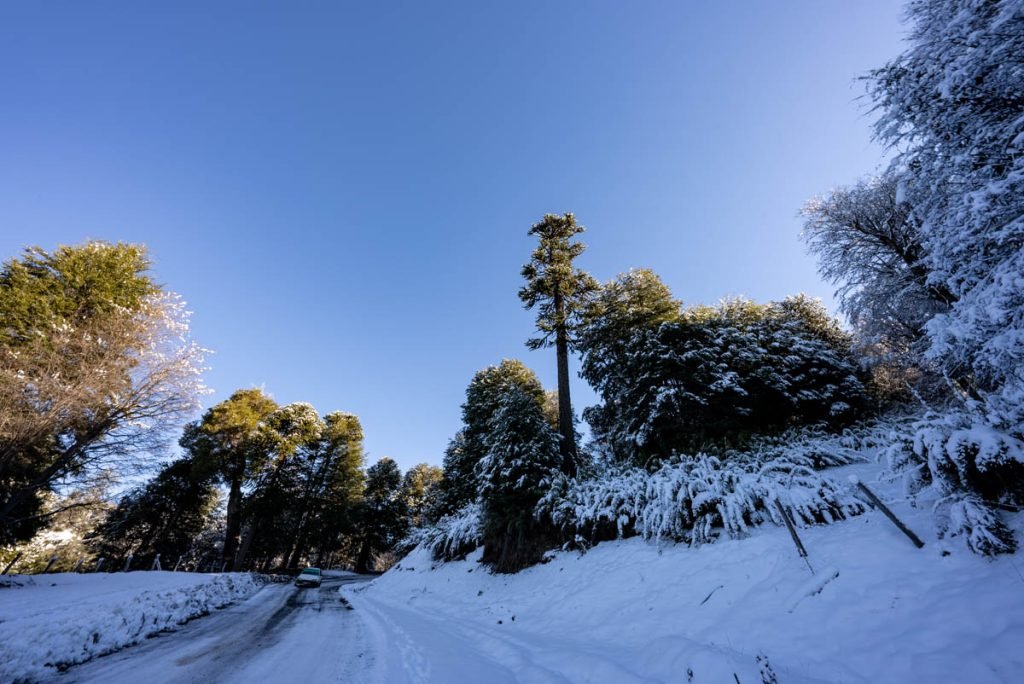 cuesta las raices nevada